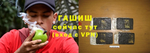 СК Алексин