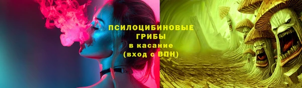крисы Алзамай