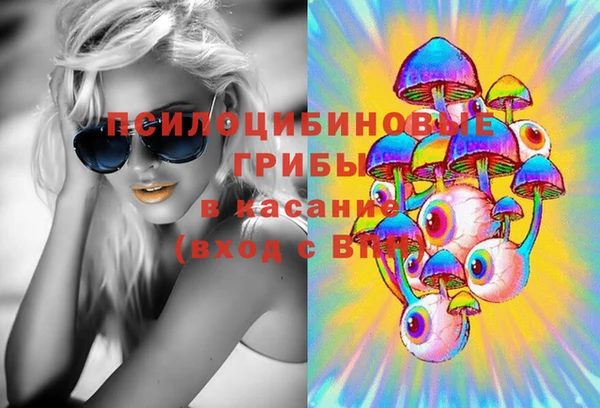 ПСИЛОЦИБИНОВЫЕ ГРИБЫ Алексеевка