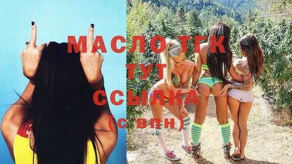 СК Алексин