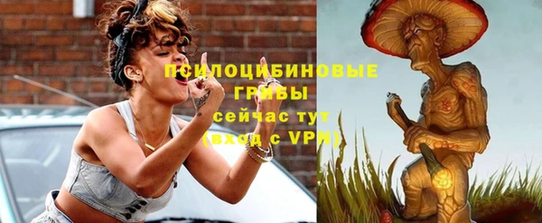 крисы Алзамай