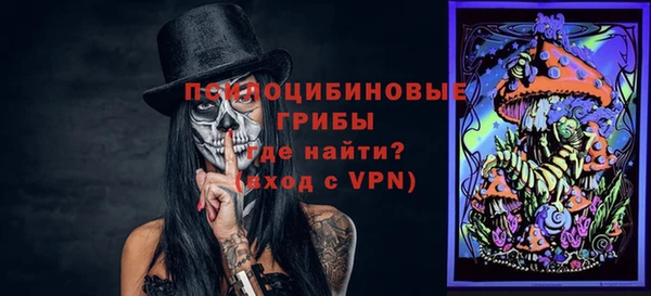 ПСИЛОЦИБИНОВЫЕ ГРИБЫ Алексеевка