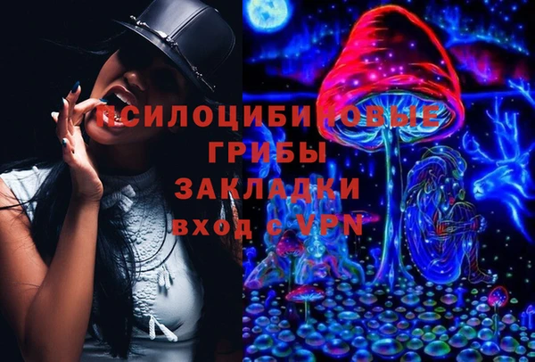 СК Алексин
